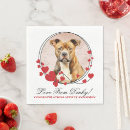 American Staffordshire Red Heart Bröllopshund Foto Pappersservett