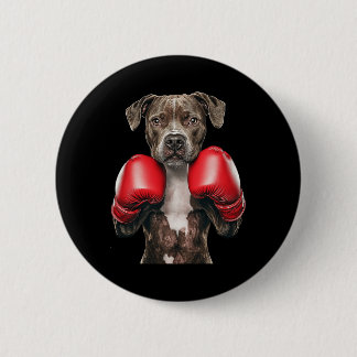 American Staffordshire Terrier Boxning  Knapp