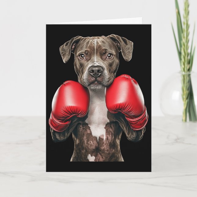 American Staffordshire Terrier Boxning  Kort (Framsida)