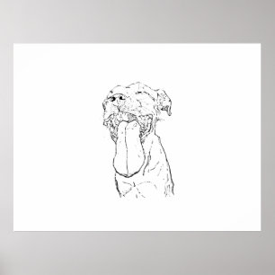 American Staffordshire Terrier-illustration Poster