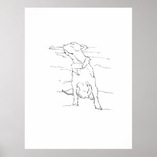 American Staffordshire Terrier-illustration Poster