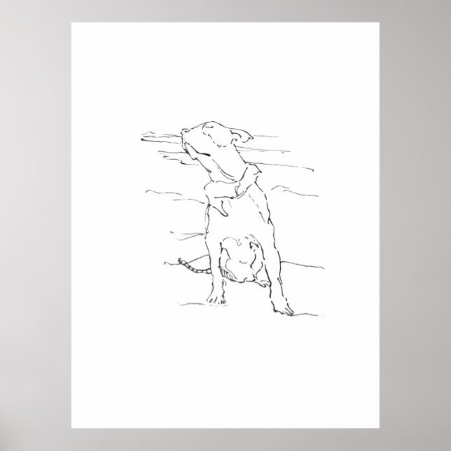 American Staffordshire Terrier-illustration Poster (Framsidan)