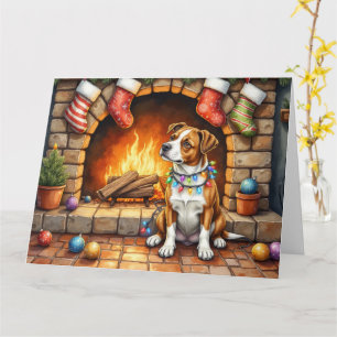 American Staffordshire Terrier Julbelysning Kort