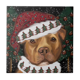 American Staffordshire Terrier Kakelplatta