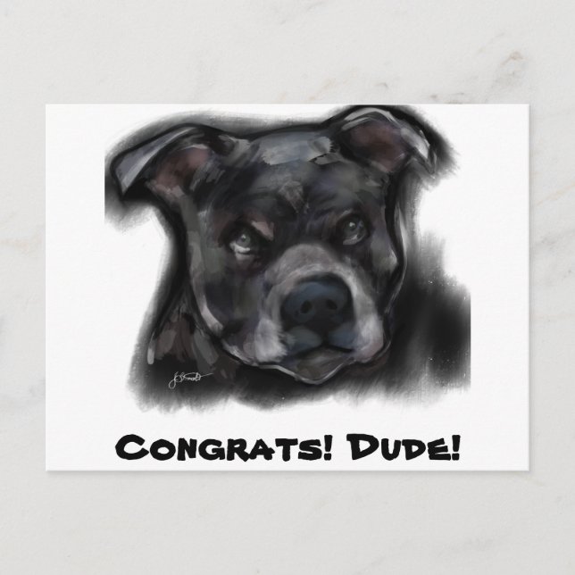 American Staffordshire Terrier Vykort (Framsida)