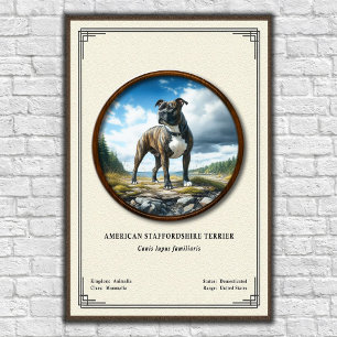 American Staffordshire Terrier Zoologi Serie Poster