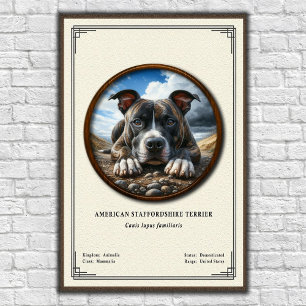 American Staffordshire Terrier Zoologisk Serie Poster