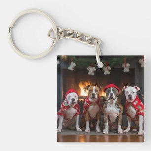American Staffordshire vid brasan jul