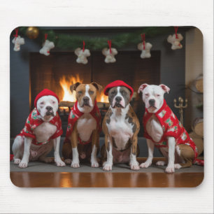 American Staffordshire vid brasan jul Musmatta