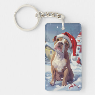 American Staffordshire Winter Wonderland Jul