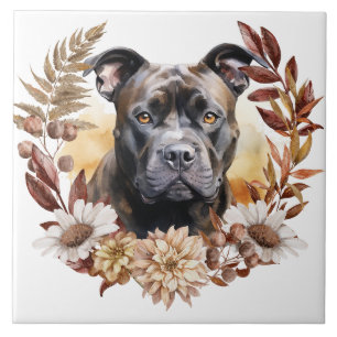 American StaffordTerrier Hund Autumn Wandeand Kakelplatta