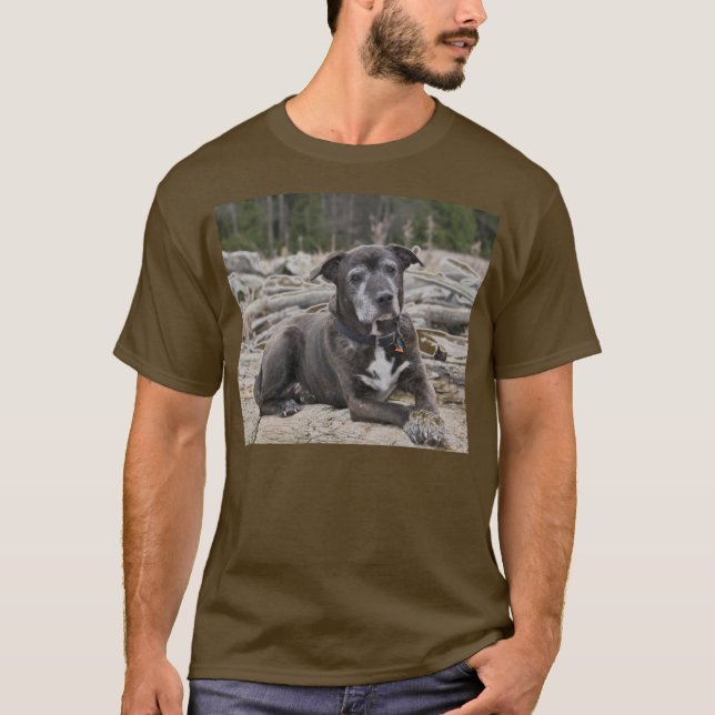American StaffordTerrier - Shirts Tee (Framsida)