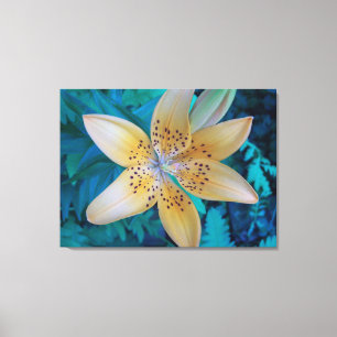 American Tiger Lily Canvastryck