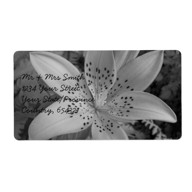 American Tiger Lily Fraktsedel (Framsidan)