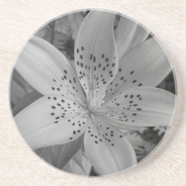 American Tiger Lily Underlägg Sandsten (Framsidan)