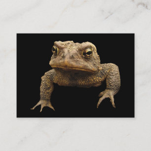 American Toad ATC Visitkort