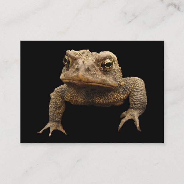 American Toad ATC Visitkort (Framsida)