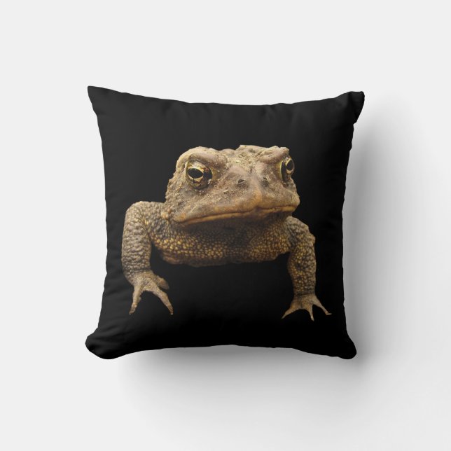 American Toad Kudde (Framsida)