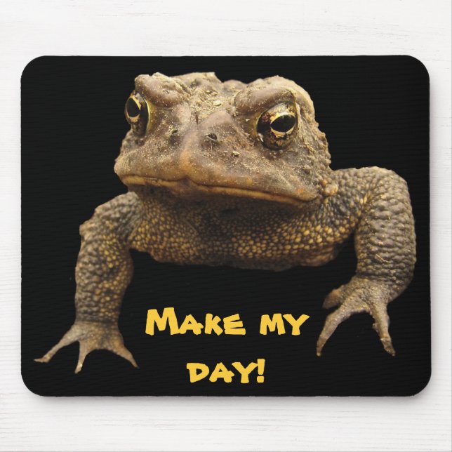 American Toad Musmatta (Framsidan)