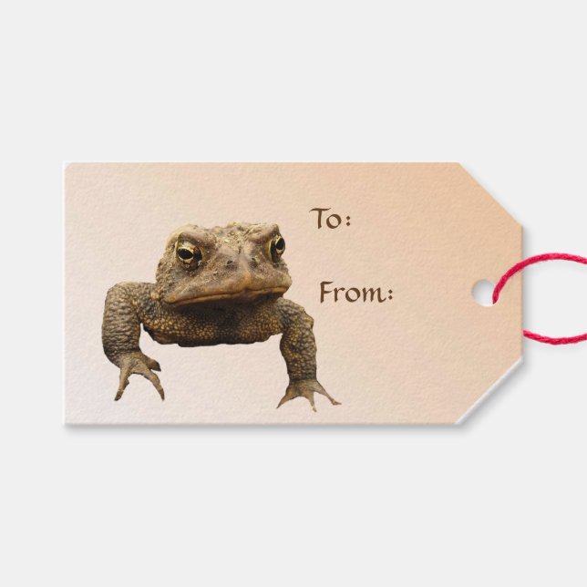 American Toad Pack of Gift Märkres Presentetikett (Framsidan (Horisontell))