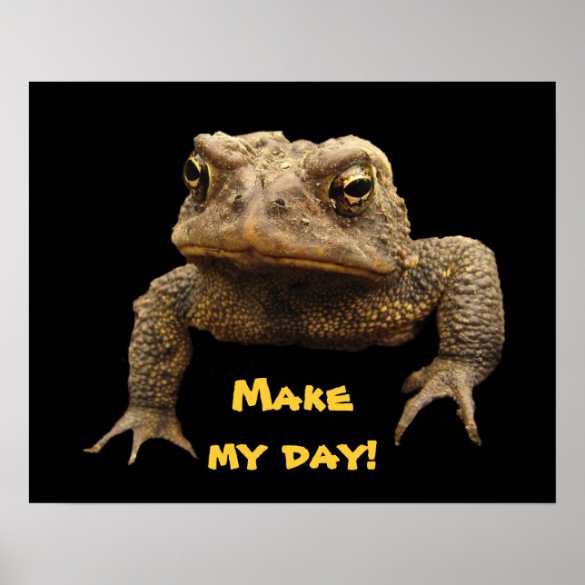 American Toad Poster (Framsidan)