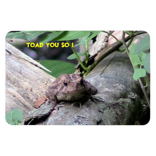 American Toad Premium Flexi Magnet (Horisontell)