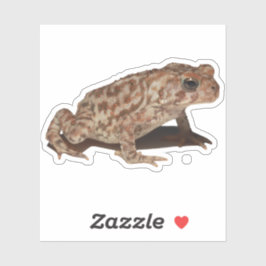 American Toad Vinyl Sticker Klistermärken