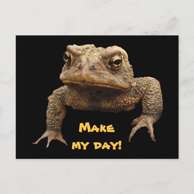 American Toad Vykort (Framsida)