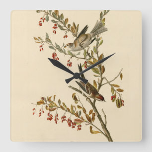 American Träd Sparrow, Audubon's Birds of America Fyrkantig Klocka