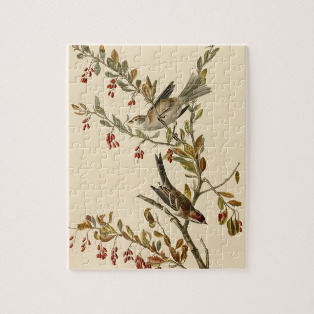 American Träd Sparrow, Audubon's Birds of America Pussel (Vertikal)