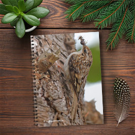 American Treecreeper med Kryp Anteckningsbok