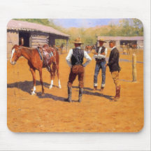 American Vilda western Polo Ponies