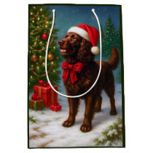 American Water Spaniel-helg