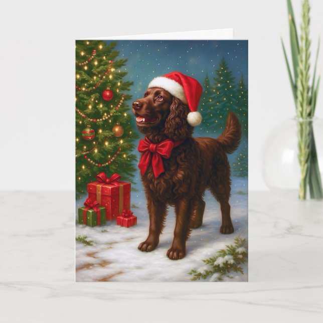 American Water Spaniel Holiday Card Helgkort (Framsida)