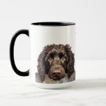 American Water Spaniel Mug Mugg<br><div class="desc">Beautiful American Water Spaniel Coffee Mug</div>