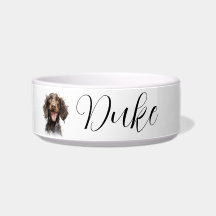 American Water Spaniel vattendjur