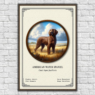 American Water Spaniel Zoologi Serie Poster