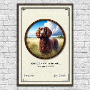 American Water Spaniel Zoologi Serie Poster