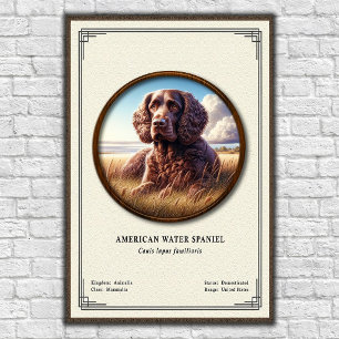 American Water Spaniel Zoologi Serie Poster