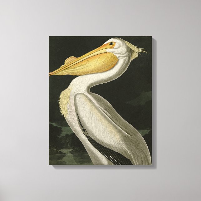 American White Pelican, Audubon's Birds of America Canvastryck (Framsida)