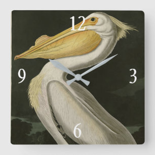 American White Pelican, Audubons Birds of America Fyrkantig Klocka