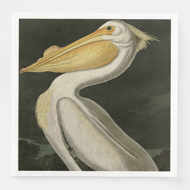 American White Pelican, Audubon's Birds of America Pappersservett (Framsida)