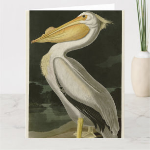 American White Pelican, Audubon's Birds of America Tack Kort