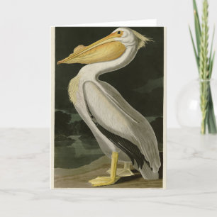 American White Pelican, Audubon's Birds of America Tack Kort