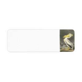 American White Pelican av Audubon Returadress Etikett