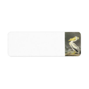 American White Pelican av Audubon Returadress Etikett