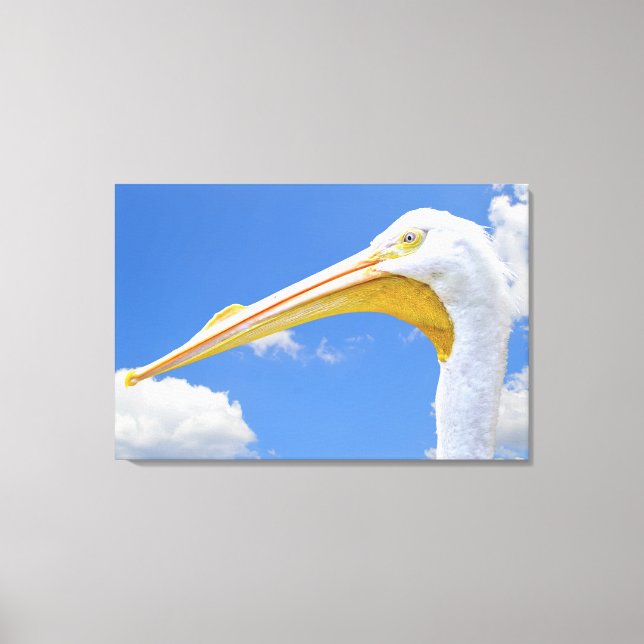 American White Pelican Kanvastryck (Framsida)