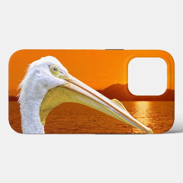American White Pelican sunset på Korfu (Baksida (horisontell))