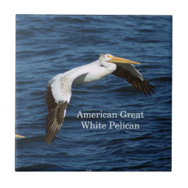 American White Pelican tile Kakelplatta