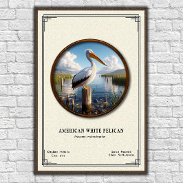 American White Pelican Zoology Series Poster